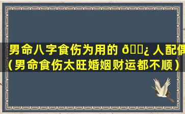 男命八字食伤为用的 🌿 人配偶（男命食伤太旺婚姻财运都不顺）